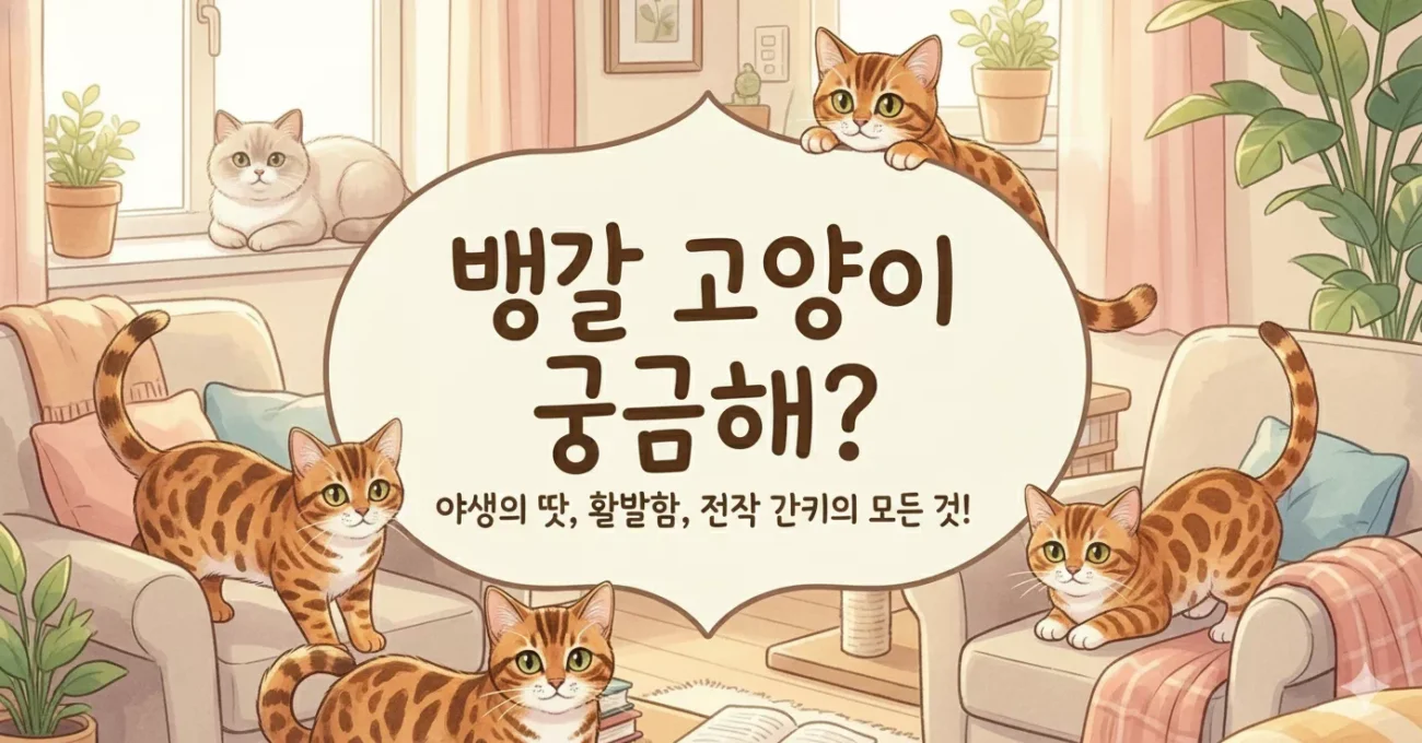 뱅갈 고양이 궁금해?