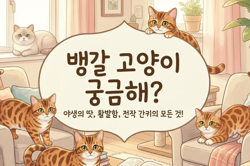 뱅갈 고양이 10문 10답: 태생부터 성격, 비용까지 완벽 분석