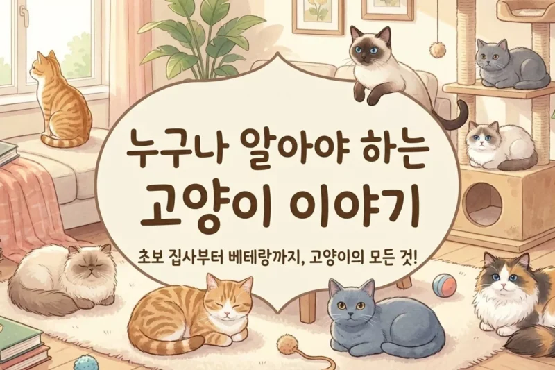 100번 읽어도 아깝지 않은 고양이 이야기: 출생, 수명, 성향, 소통 완전 정복