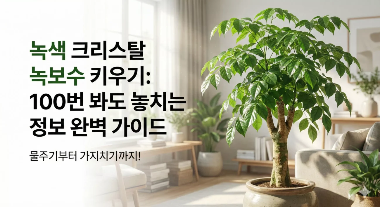 녹색보석 녹보수 키우기 100번 봐도 놓치는 정보 완벽 가이드