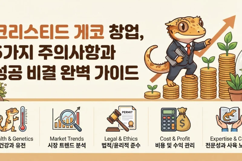 크레스티드 게코 창업, 5가지 주의사항과 성공 비결 완벽 가이드