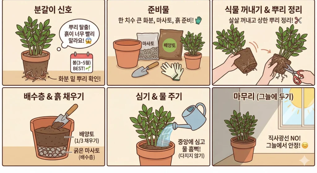분갈이 그림