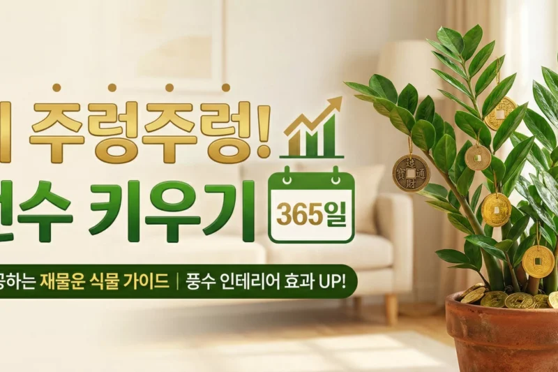 돈이 주렁주렁 금전수 키우기 365일!